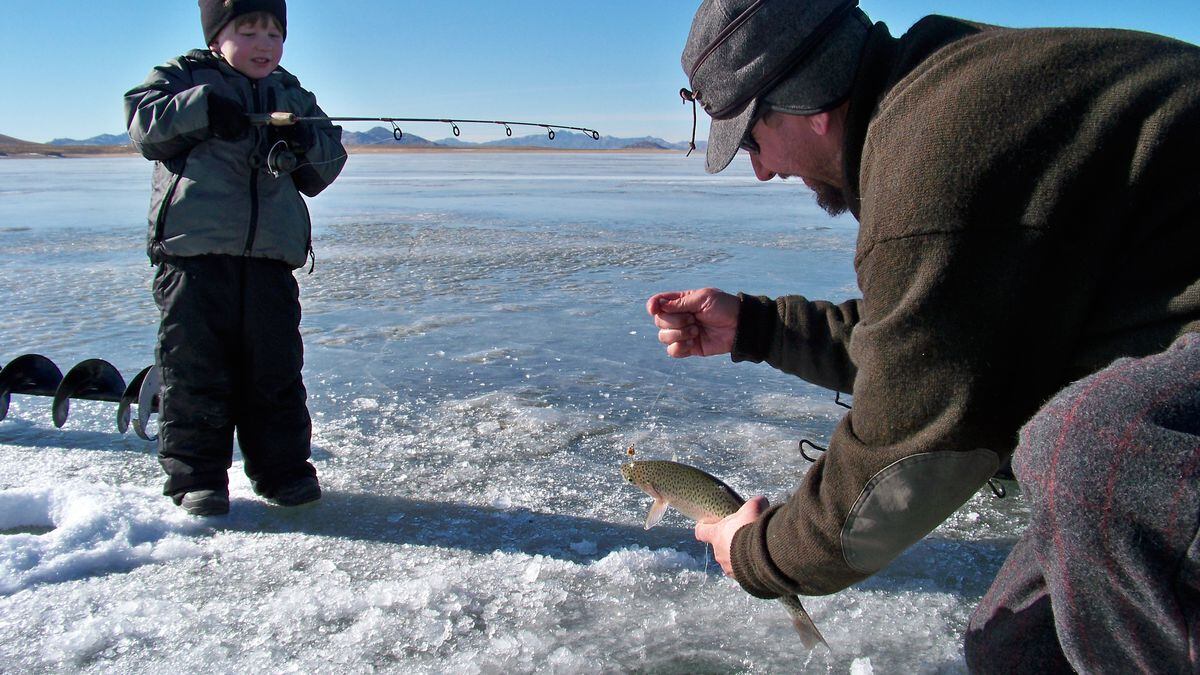 wyoming game and fish hunting draw results