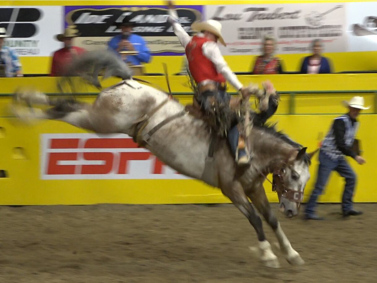 WATCH: CNFR 1st Performance - Vimarsana News