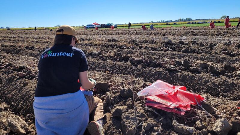 The University of Wyoming Sustainable Agriculture Research Extension Program teamed up with...