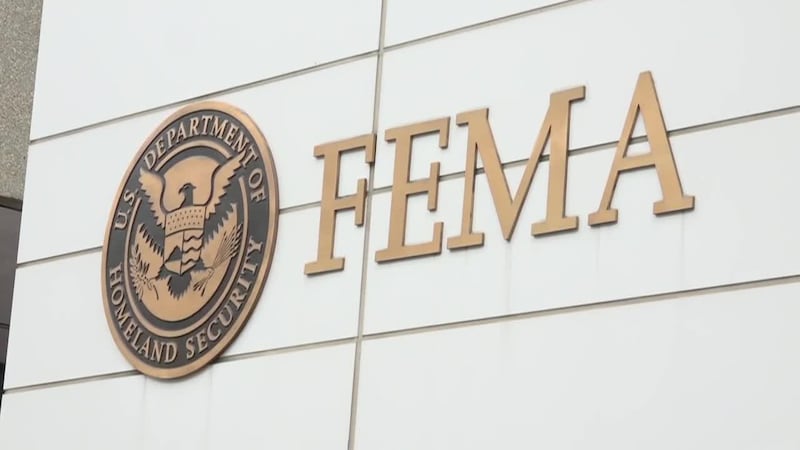 FEMA