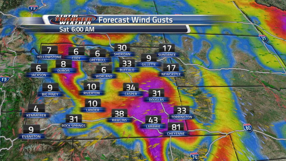 Maximum Wind Gust Forecast for WY