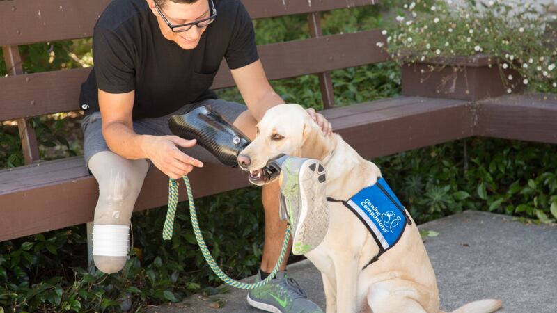 A Canine Companions service dog assisting their handler