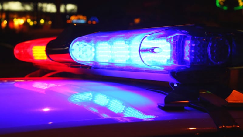 A gunshot during a holiday festival in Dayton sent people running for safety and prompted the...