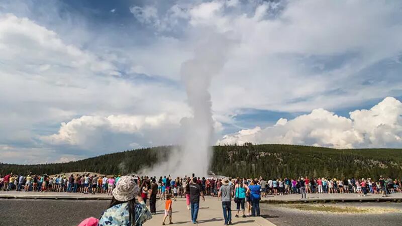 2023′s total visits to Yellowstone National Park rose past 4.4 million in October, clinching...