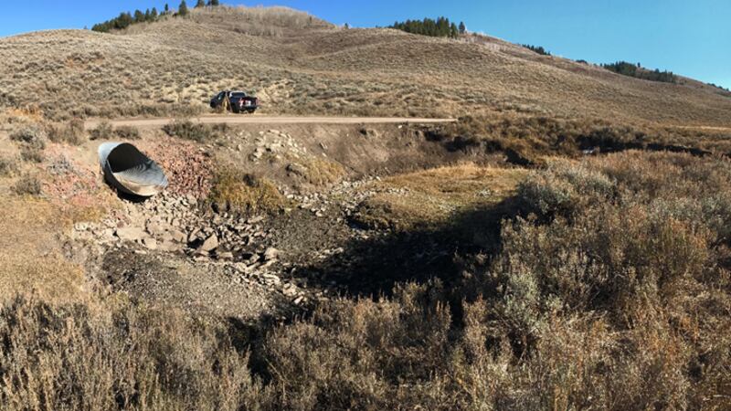 BLM Kemmerer Field Office improves fish habitat in the Dry Fork of the Smith’s Fork drainage